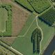 Image for article titled Behold These Incredible Works Of Architecture Made Out Of Living Trees